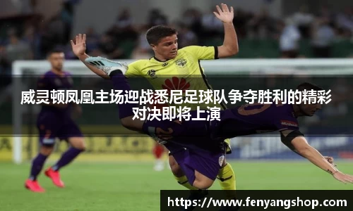 yy易游
