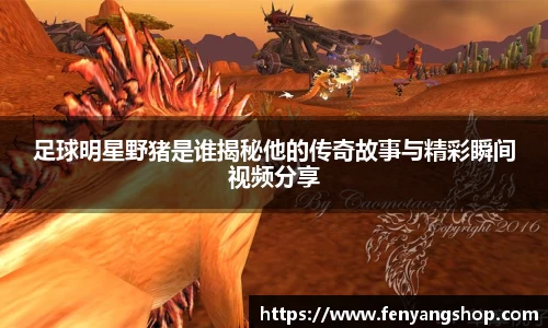 足球明星野猪是谁揭秘他的传奇故事与精彩瞬间视频分享