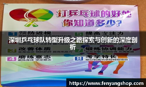 深圳乒乓球队转型升级之路探索与创新的深度剖析