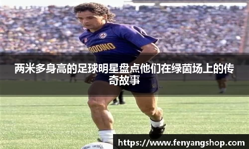 两米多身高的足球明星盘点他们在绿茵场上的传奇故事